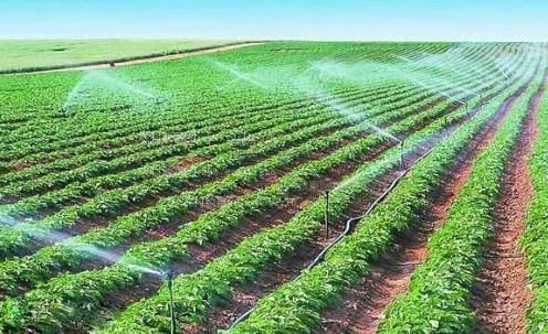 肏逼黄片农田高 效节水灌溉